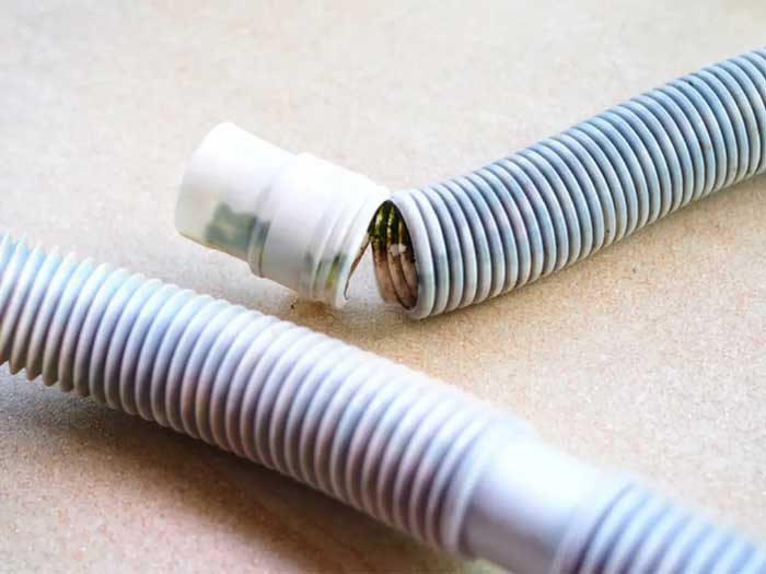 Đường ống thoát nước bị tắc nghẽn Đường ống thoát nước bị tắc nghẽn
